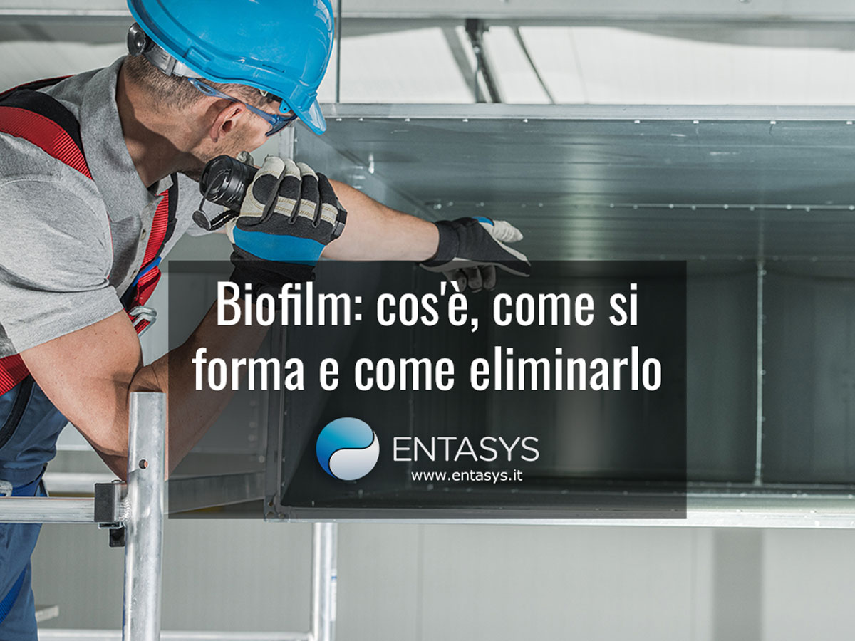 Biofilm: cos'è, come si forma e metodi efficaci per eliminarlo