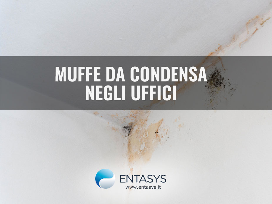 muffe da condensa negli uffici